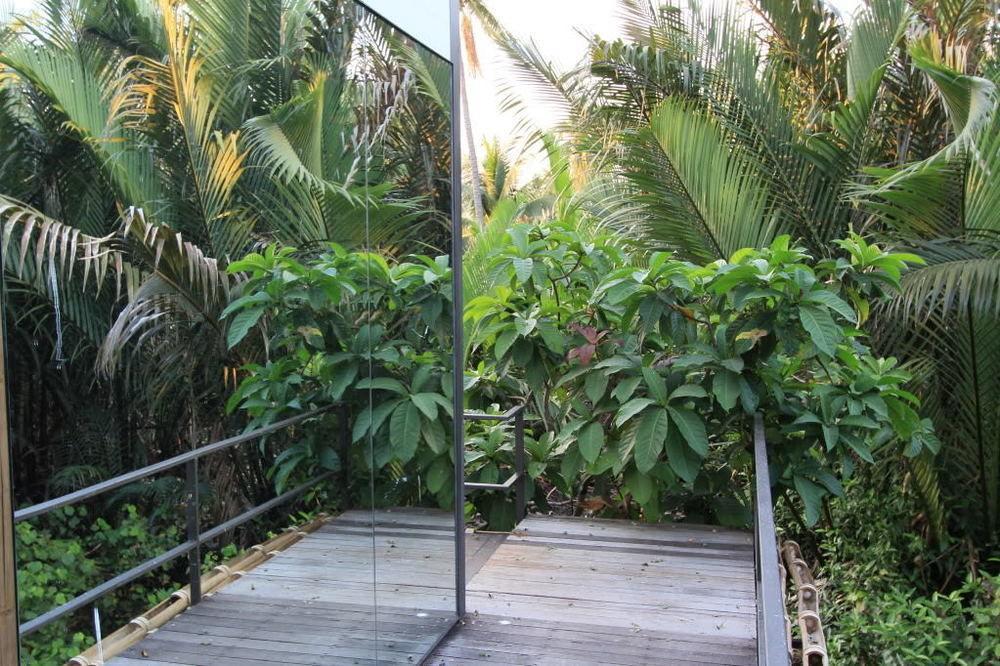 Bangkok Tree House Bang Kachao Hotel Exterior foto